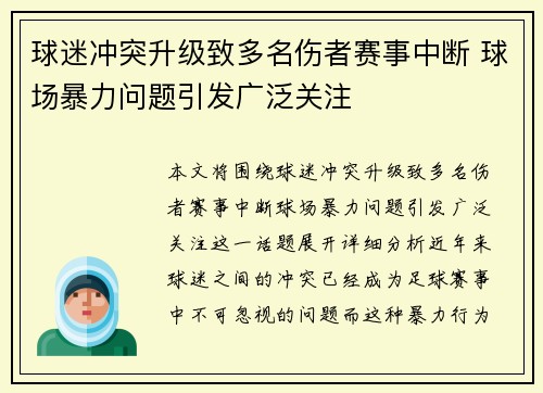 球迷冲突升级致多名伤者赛事中断 球场暴力问题引发广泛关注