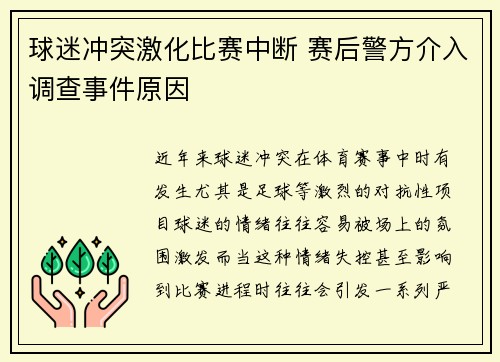 球迷冲突激化比赛中断 赛后警方介入调查事件原因